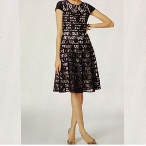 Alfani Black and White Lace fit and flare Midi Dress. Size 14W.